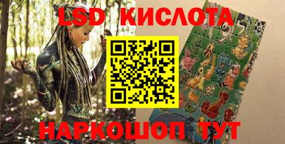 стаф Аргун