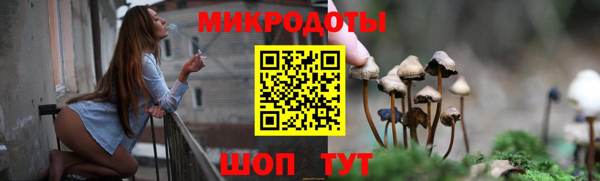 ГАШИШ Владикавказ
